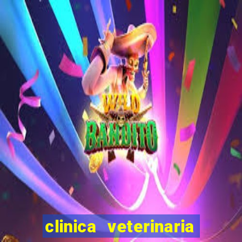 clinica veterinaria cuidar betim